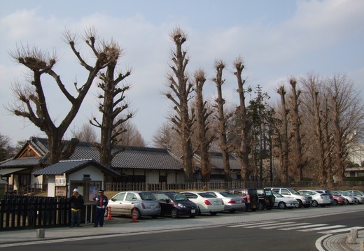 Arredores da cidade (07)