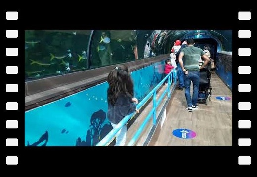 Sea Life Sydney Aquarium - Part 2/7