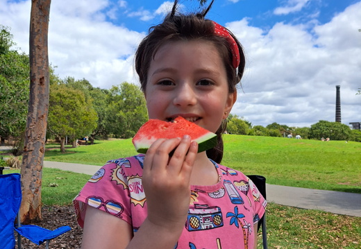 Novembro de 2023 a janeiro de 2024
